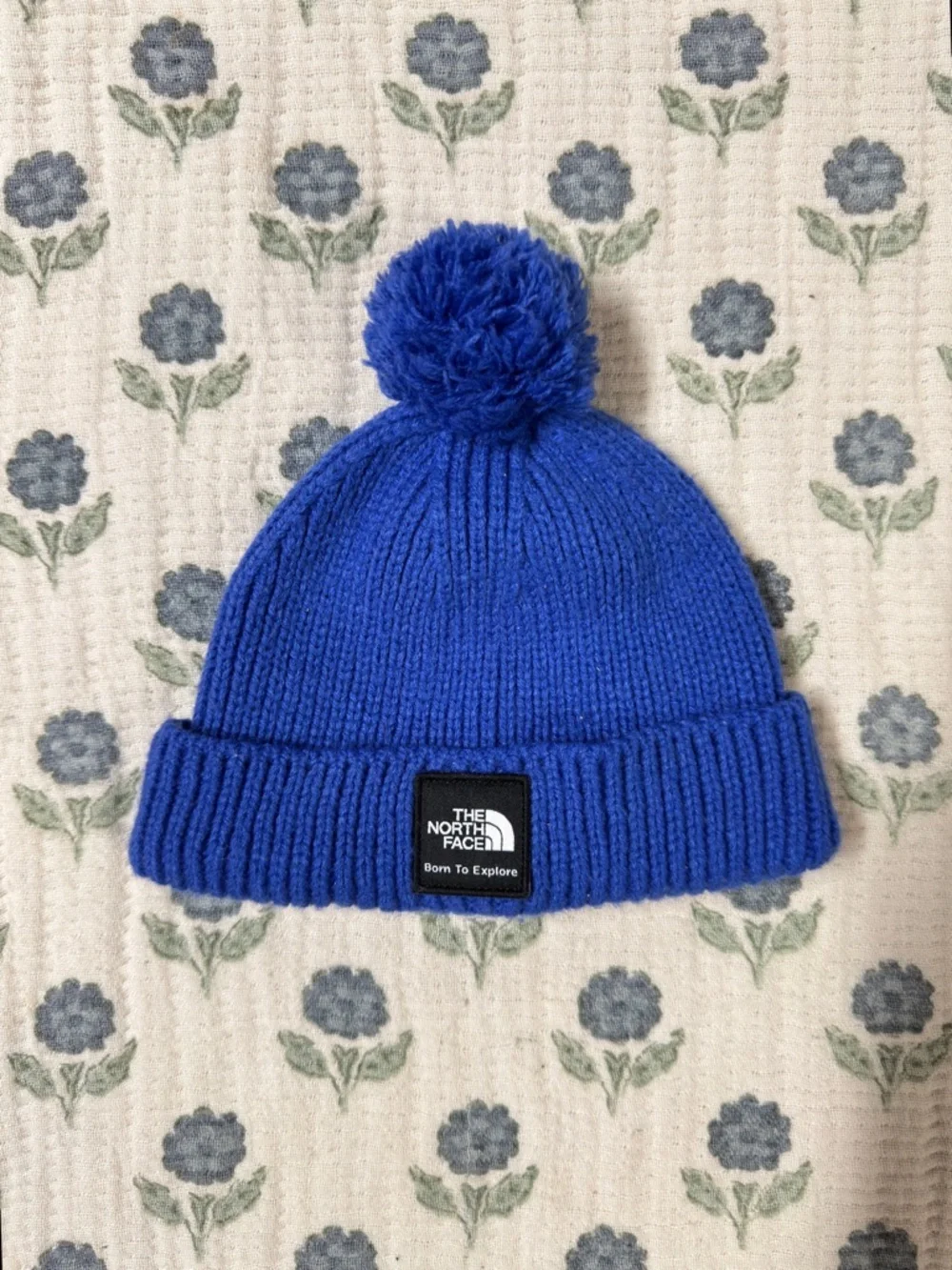 The North Face Blue Beanie